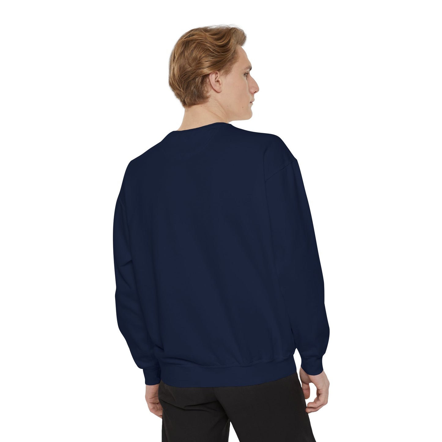 Plasma Intelligence Hoodless Pullover Sweatshirt for Men and Women with Long Sleeves
