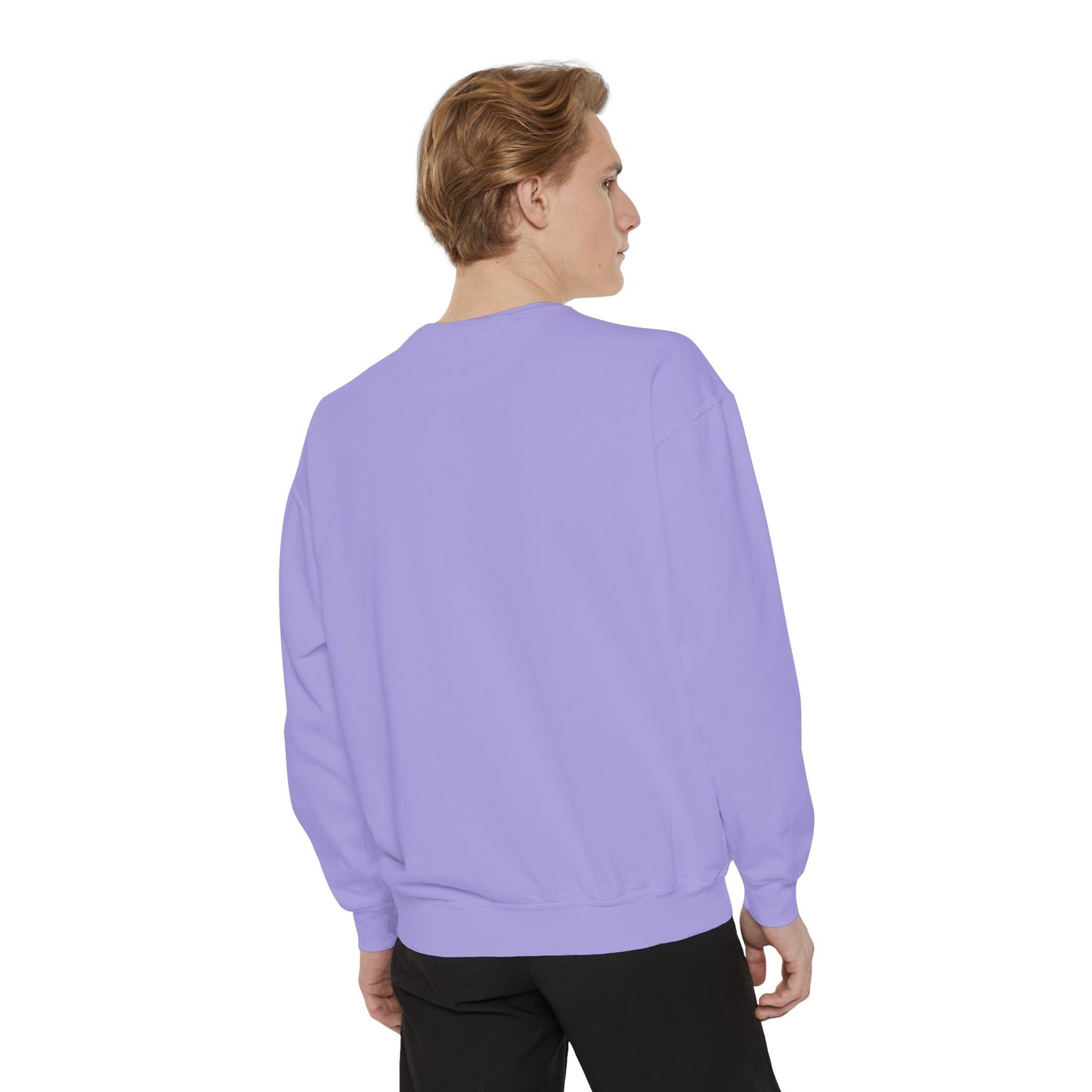 Plasma Intelligence Hoodless Pullover Sweatshirt for Men and Women with Long Sleeves