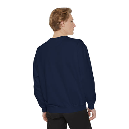 Plasma Intelligence Hoodless Pullover Sweatshirt for Men and Women with Long Sleeves