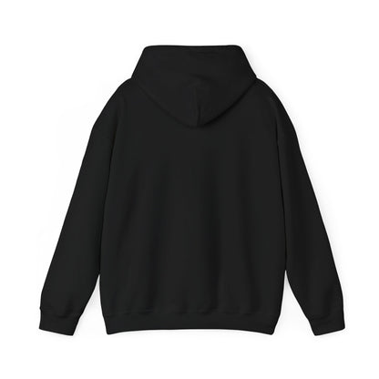Plasma Hooded Sweatshirt for Men and Women - Casual Long Sleeve Pullover